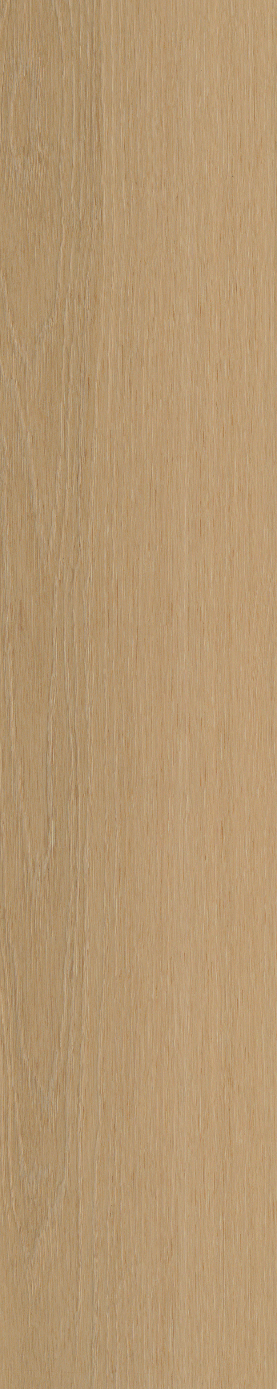 Borgo visgraat XL 32